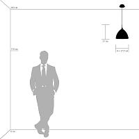 Подвесной светильник Lightstar Simple Light 810 810030