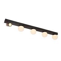 Дополнительная картинка Потолочный светильник Arte Lamp ZOSMA A2608PL-5BK