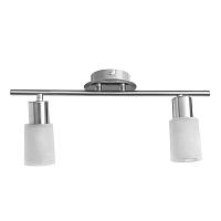 Настенно-потолочный светильник Arte Lamp A4510PL-2SS