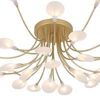 Дополнительная картинка Потолочная люстра F-Promo Skein 4197-28C