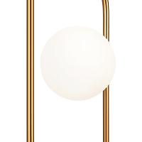 Дополнительная картинка Настольный светильник Freya FR5233TL-01BS