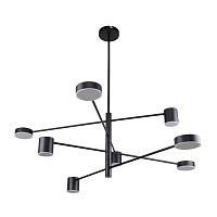 Дополнительная картинка Потолочная люстра Ducan 3094-8P