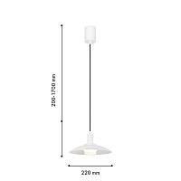 подвесной светильник baster 4274-1p, доставка по Казахстану 