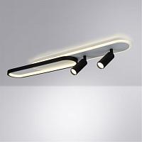 Дополнительная картинка Потолочный светильник Arte Lamp LUCAS A2600PL-32BK