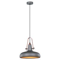 Дополнительная картинка Подвесной светильник Lussole Loft LSP-9814