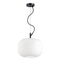подвесной светильник odeon light pendant roofi 4754/1, доставка по Казахстану 