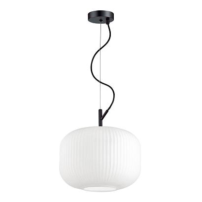 подвесной светильник odeon light pendant roofi 4754/1, доставка по Казахстану 