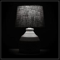 Дополнительная картинка Настольный светильник Arte Lamp TIAKI A4636LT-1GY