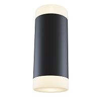 Дополнительная картинка Бра Maytoni Dafne C027WL-L10B