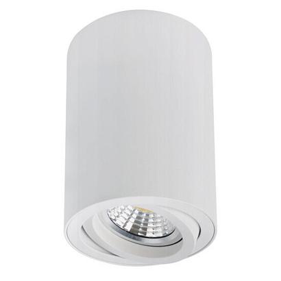 Точечный накладной светильник Arte Lamp SENTRY A1566PL-1WH, доставка по Казахстану 