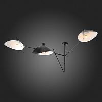 Дополнительная картинка Потолочная люстра ST Luce Spruzzo SL305.402.03