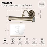 Дополнительная картинка Подсветка для картин Maytoni Renoir PIC118-22-R
