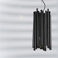 Дополнительная картинка Подвесная люстра Lightstar Savona 816027