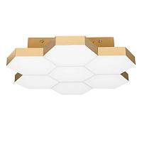 Дополнительная картинка Потолочный светодиодный светильник Lightstar Favo 750071