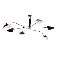 Дополнительная картинка Подвесная люстра ST Luce Spruzzo SL305.402.06