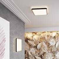 7621/DL PALE SN 047 Светильник пластик/белый/черный/медный LED 48Вт c ДУ 3000-4200-6300К 440х440 IP43 пульт ДУ EFFA