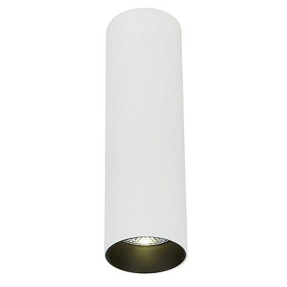LED потолочный светильник Simple story 2052-LED10CLW купить в Алматы svet.kz