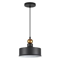 Дополнительная картинка Подвесной светильник Odeon Light Pendant Bolli 4088/1
