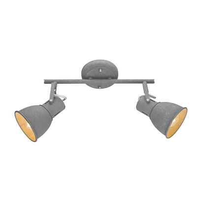Настенно-потолочные Спот Arte Lamp A1677PL-2GY, доставка по Казахстану 