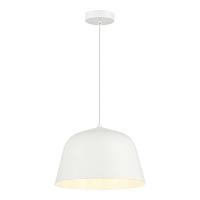 evoluce sle1805-503-01 светильник подвесной blank, доставка по Казахстану 