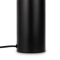 Дополнительная картинка Настольный светильник Freya FR5218TL-02B1