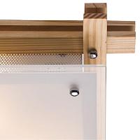 Дополнительная картинка Потолочный светильник Arte Lamp 94 A6460PL-2BR