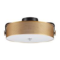 Дополнительная картинка 6597/40L Lumion Потолочный светильник DRUMY