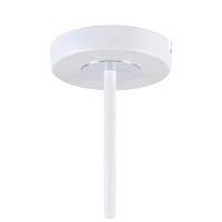 Дополнительная картинка Потолочная люстра F-Promo Viator 2559-5P