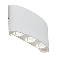 Уличный настенный светодиодный светильник ST Luce Bisello SL089.501.06 светильники