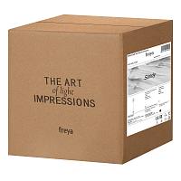 Дополнительная картинка Торшер Freya Sandy FR5118FL-01BS