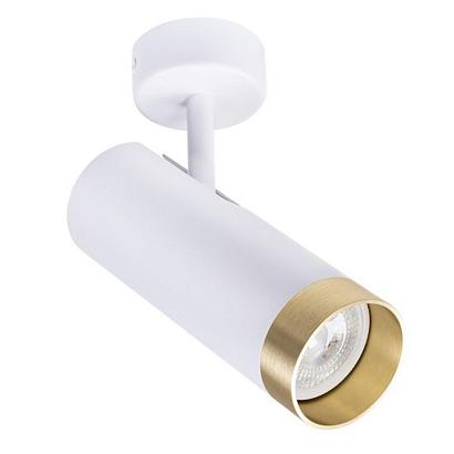 Настенно-потолочные Накладной светильник Arte Lamp TOPIC A2357PL-1WH, доставка по Казахстану 