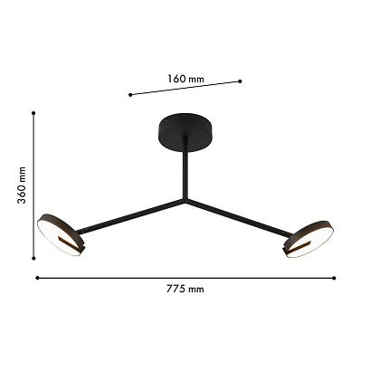 Потолочные Потолочный светильник Paritet 4401-2C, доставка по Казахстану 
