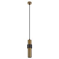 Дополнительная картинка Подвесной светильник Arte Lamp RAN A3144SP-1PB