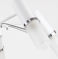 Дополнительная картинка Потолочная люстра F-Promo Viator 2559-5P