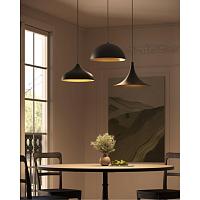 Дополнительная картинка Подвесной светильник Arte Lamp CARMEL A7076SP-1BK