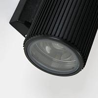 Дополнительная картинка Уличный настенный светильник Favourite Pola 2858-2W