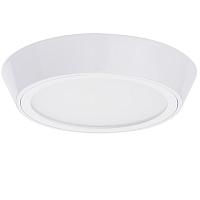 Дополнительная картинка Потолочный светодиодный светильник Lightstar Urbano 214904