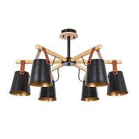 Дополнительная картинка Светильник потолочный Arte Lamp THOMAS A7032PL-6BK