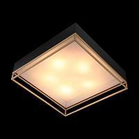 Дополнительная картинка Потолочный светильник ST Luce Chodo SL1127.422.05