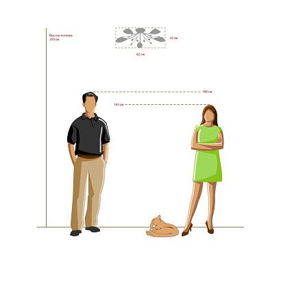 Потолочные Потолочная люстра MW-Light Нежность 356012905, доставка по Казахстану 