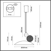 Дополнительная картинка 6625/20L Odeon Light HIGHTECH Подвесной светильник 