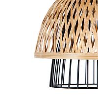 Дополнительная картинка Подвесной светильник Arte Lamp WOODSTOCK A7070SP-1BK