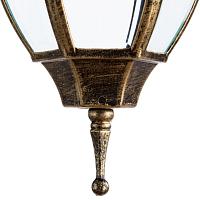Дополнительная картинка Уличный подвесной светильник Arte Lamp Pegasus A3151SO-1BN