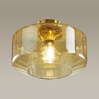 Дополнительная картинка Потолочный светильник Odeon Light Pendant Binga 4747/1C