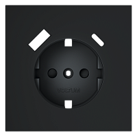Накладка для розетки с заземлением и защитными шторками, с USB A+C, S70 (графит) 