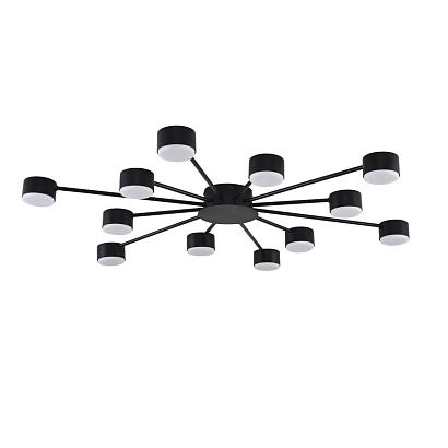 Потолочные 8344/12C Lumion Люстра TORINA, доставка по Казахстану 