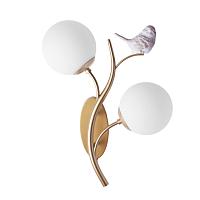 Дополнительная картинка Настенный светильник CAMOMILLA Arte Lamp A9712AP-2SG
