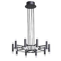 Дополнительная картинка Подвесной светильник Arte Lamp EMPIRE A2482SP-20BK