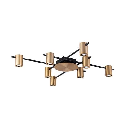 Потолочные Потолочная люстра Aployt Elwisia APL.633.07.08, доставка по Казахстану 