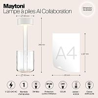 Дополнительная картинка Аккумуляторный светильник Maytoni MOD229TL-L3W3K1